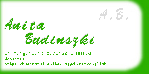 anita budinszki business card